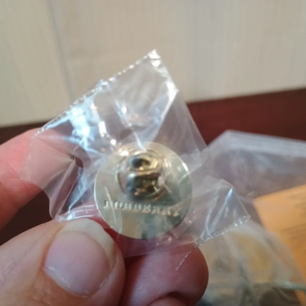 Burberry Pin